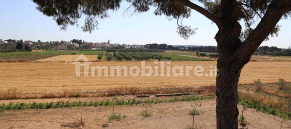 4 chambres Maison à Sannicola, Italy No. 319317 16