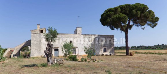 4 chambres Maison à Sannicola, Italy No. 319317 5