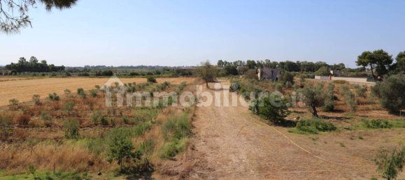 4 chambres Maison à Sannicola, Italy No. 319317 26