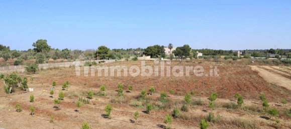 4 chambres Maison à Sannicola, Italy No. 319317 30