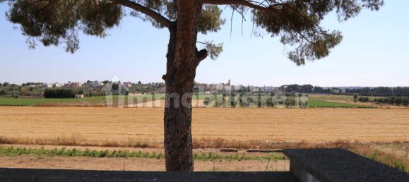 4 chambres Maison à Sannicola, Italy No. 319317 13