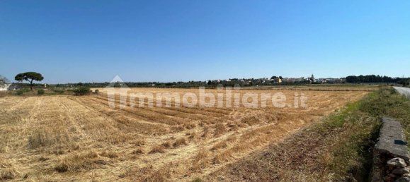 4 chambres Maison à Sannicola, Italy No. 319317 19