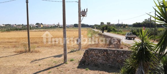 4 chambres Maison à Sannicola, Italy No. 319317 49