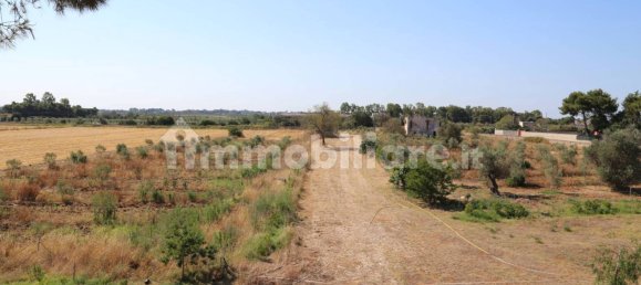 4 chambres Maison à Sannicola, Italy No. 319317 32