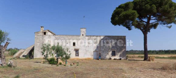 4 chambres Maison à Sannicola, Italy No. 319317 4