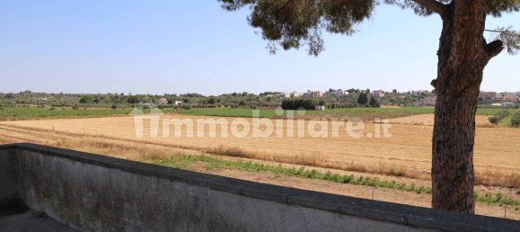 4 chambres Maison à Sannicola, Italy No. 319317 14