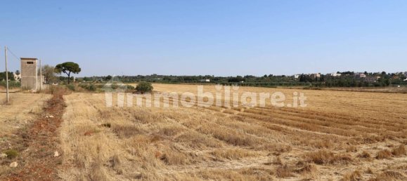 4 chambres Maison à Sannicola, Italy No. 319317 36