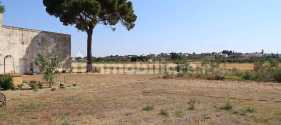 4 chambres Maison à Sannicola, Italy No. 319317 10