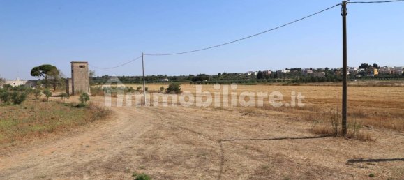 4 chambres Maison à Sannicola, Italy No. 319317 50