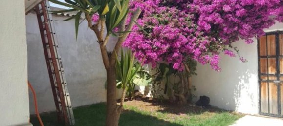 4 غرف نوم منزل في San Cristobal de las Casas, Mexico رقم 162925 2