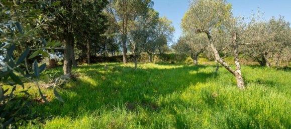 Casa de 2 dormitorios en Sinalunga, Italy No. 55805 13
