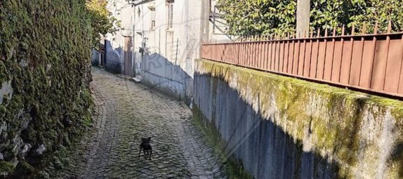 3 bedrooms House in Arganil, Portugal No. 164576 20