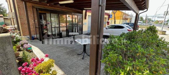 4 rooms Commercial property in Argenta, Italy No. 114903 4