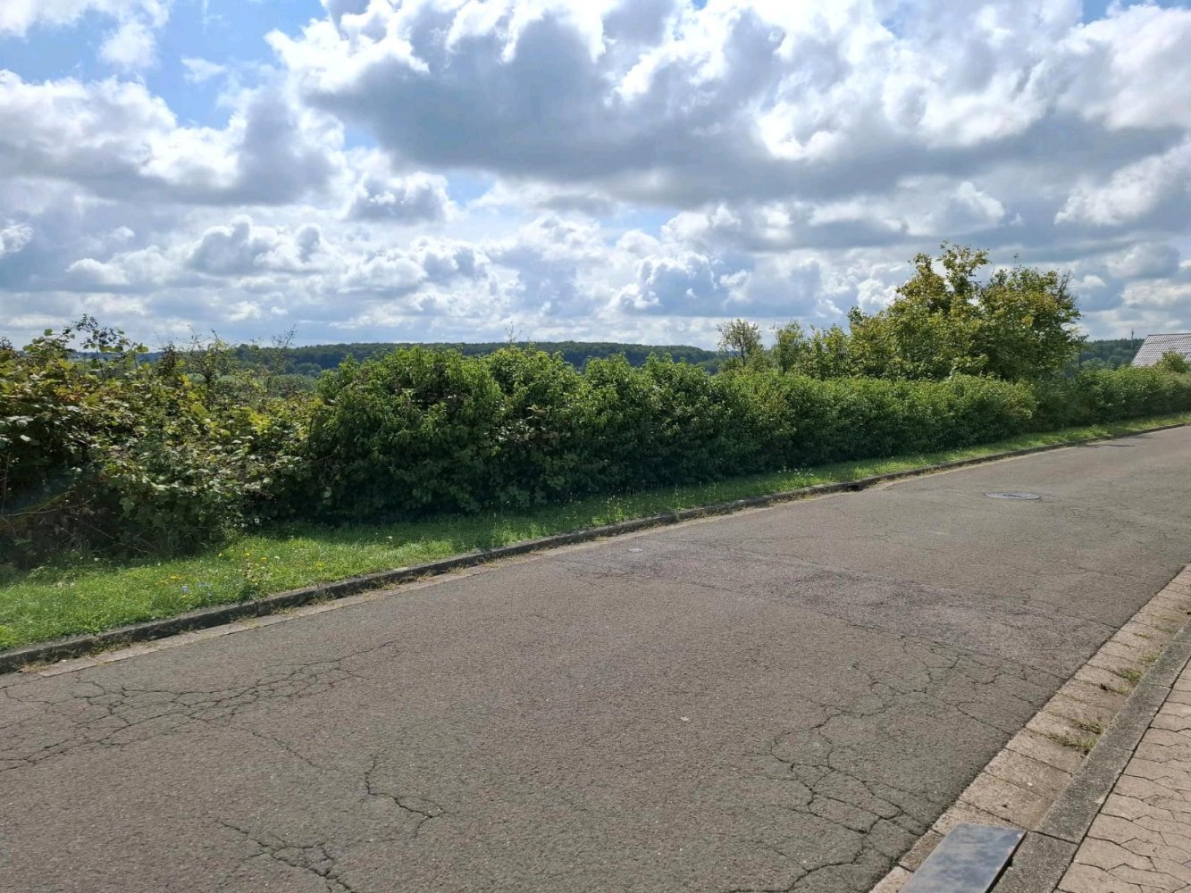 Terrain à Saarpfalz, Germany No. 240704