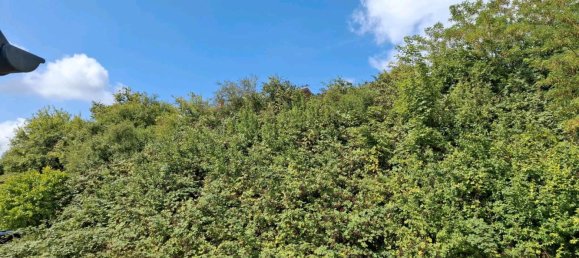 Terrain à Saarpfalz, Germany No. 240704 3