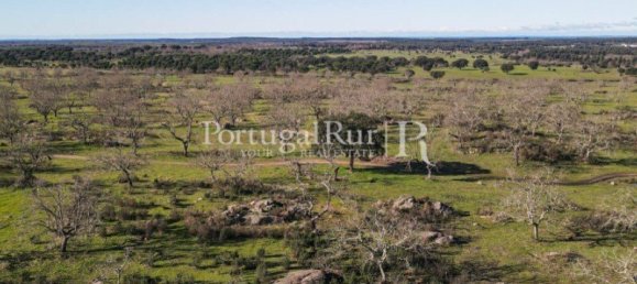 4 bedrooms Castles in Portalegre, Portugal No. 129910 39