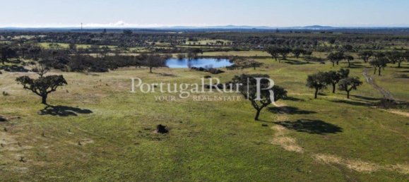 4 bedrooms Castles in Portalegre, Portugal No. 129910 29