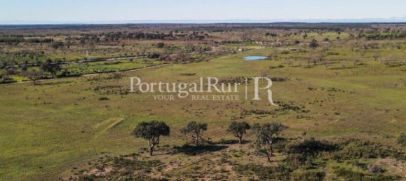 4 bedrooms Castles in Portalegre, Portugal No. 129910 31