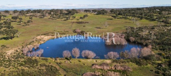 4 bedrooms Castles in Portalegre, Portugal No. 129910 4