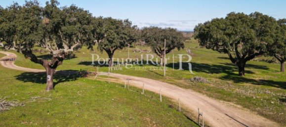 4 bedrooms Castles in Portalegre, Portugal No. 129910 50