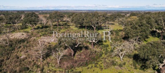 4 bedrooms Castles in Portalegre, Portugal No. 129910 34