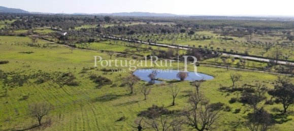 4 bedrooms Castles in Portalegre, Portugal No. 129910 18