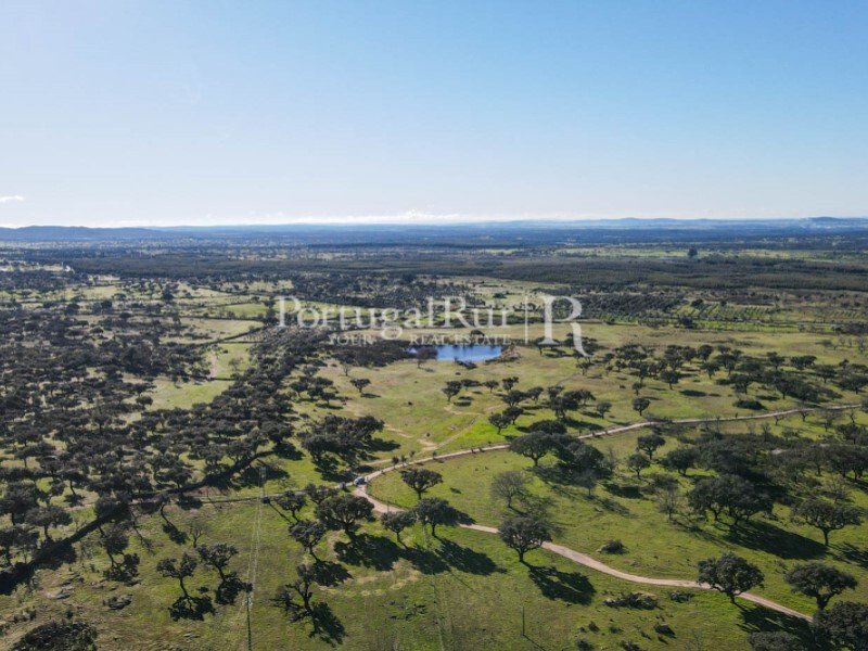 4 bedrooms Castles in Portalegre, Portugal No. 129910