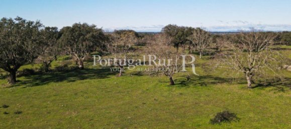 4 bedrooms Castles in Portalegre, Portugal No. 129910 49