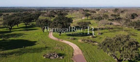 4 bedrooms Castles in Portalegre, Portugal No. 129910 20