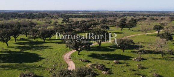 4 bedrooms Castles in Portalegre, Portugal No. 129910 23