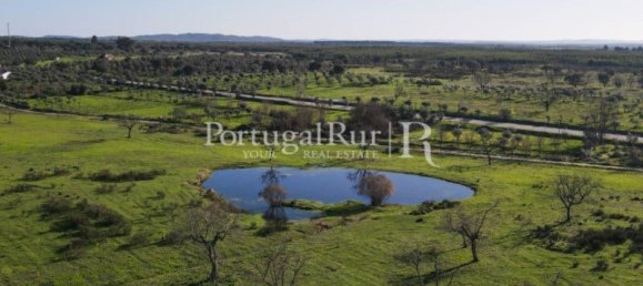 4 bedrooms Castles in Portalegre, Portugal No. 129910 24