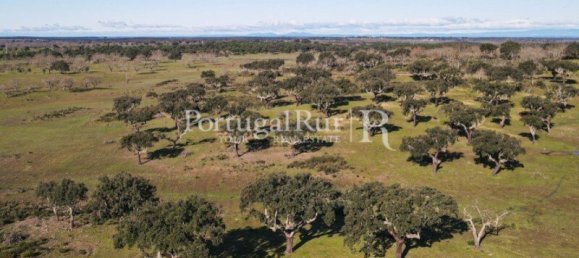 4 bedrooms Castles in Portalegre, Portugal No. 129910 32