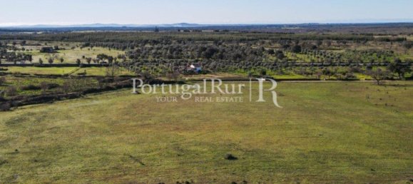 4 bedrooms Castles in Portalegre, Portugal No. 129910 30