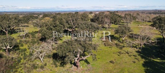 4 bedrooms Castles in Portalegre, Portugal No. 129910 33