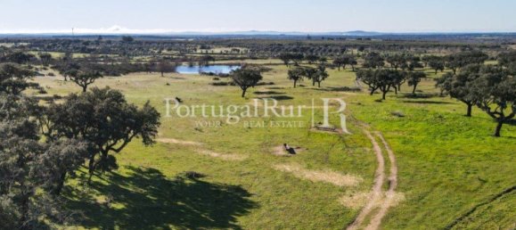 4 bedrooms Castles in Portalegre, Portugal No. 129910 27