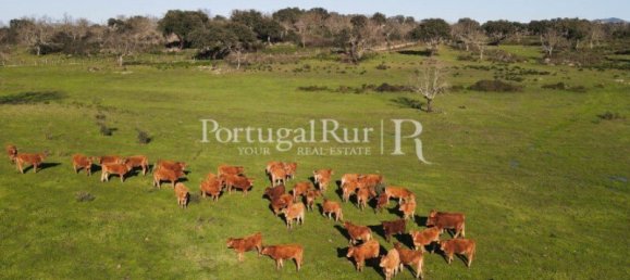 4 bedrooms Castles in Portalegre, Portugal No. 129910 26