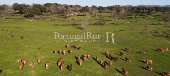 4 bedrooms Castles in Portalegre, Portugal No. 129910 25