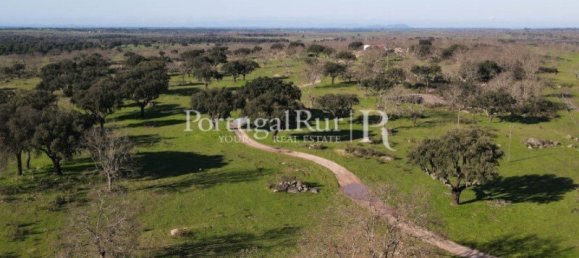 4 bedrooms Castles in Portalegre, Portugal No. 129910 22