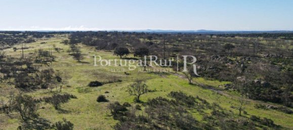 4 bedrooms Castles in Portalegre, Portugal No. 129910 43