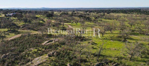 4 bedrooms Castles in Portalegre, Portugal No. 129910 38
