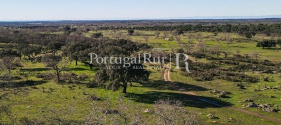 4 bedrooms Castles in Portalegre, Portugal No. 129910 37