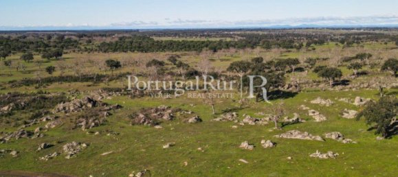 4 bedrooms Castles in Portalegre, Portugal No. 129910 36