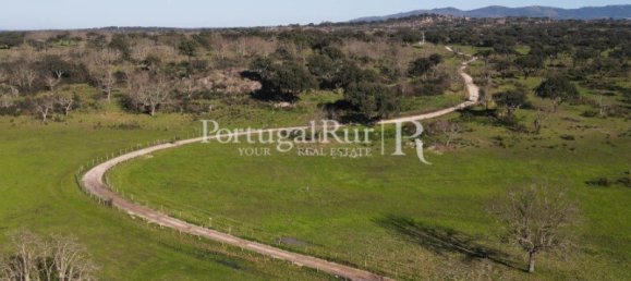 4 bedrooms Castles in Portalegre, Portugal No. 129910 17