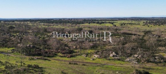 4 bedrooms Castles in Portalegre, Portugal No. 129910 44