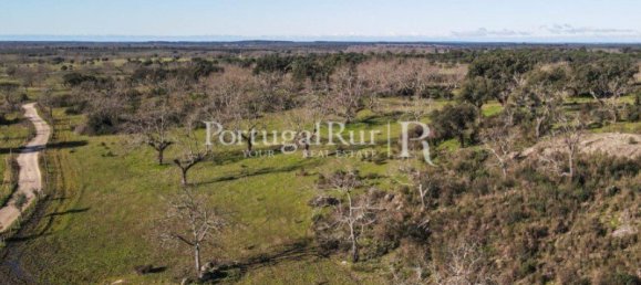 4 bedrooms Castles in Portalegre, Portugal No. 129910 35