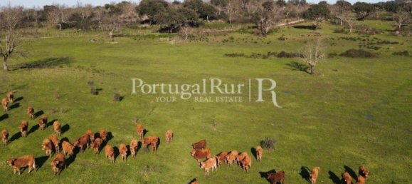 4 bedrooms Castles in Portalegre, Portugal No. 129910 3