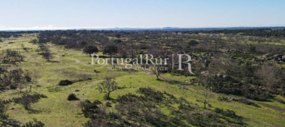 4 bedrooms Castles in Portalegre, Portugal No. 129910 45