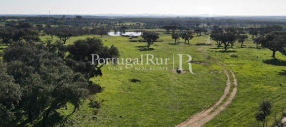 4 bedrooms Castles in Portalegre, Portugal No. 129910 19