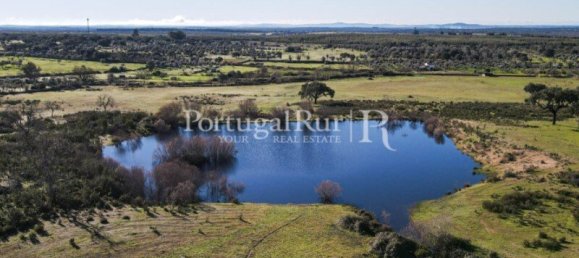 4 bedrooms Castles in Portalegre, Portugal No. 129910 28