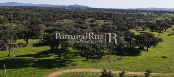 4 bedrooms Castles in Portalegre, Portugal No. 129910 21